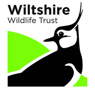 Wiltshire_Wildlife_Trust_New_Logo,_090312